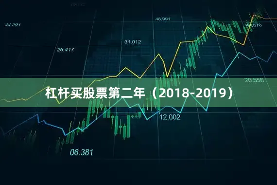 杠杆买股票第二年（2018-2019）
