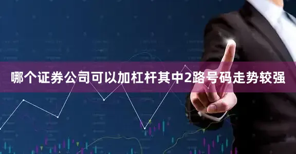 哪个证券公司可以加杠杆其中2路号码走势较强