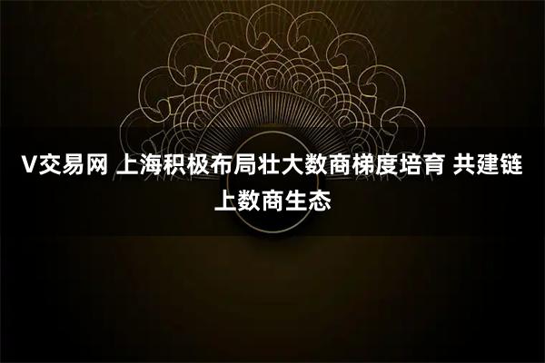 V交易网 上海积极布局壮大数商梯度培育 共建链上数商生态