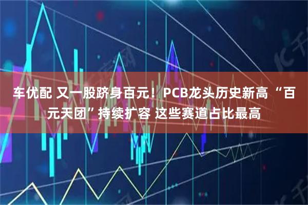 车优配 又一股跻身百元！PCB龙头历史新高 “百元天团”持续扩容 这些赛道占比最高