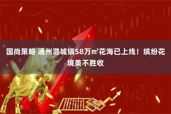 国尚策略 通州潞城镇58万㎡花海已上线！缤纷花境美不胜收