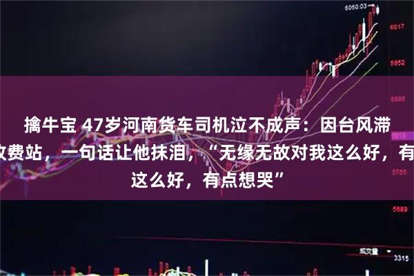 擒牛宝 47岁河南货车司机泣不成声：因台风滞留浙江收费站，一句话让他抹泪，“无缘无故对我这么好，有点想哭”