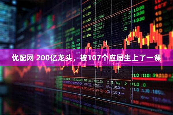 优配网 200亿龙头，被107个应届生上了一课